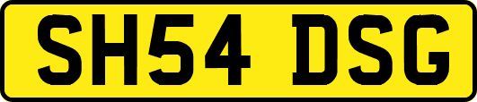 SH54DSG