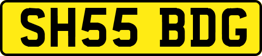 SH55BDG