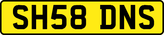SH58DNS
