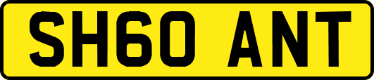 SH60ANT