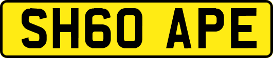 SH60APE