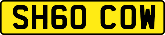 SH60COW