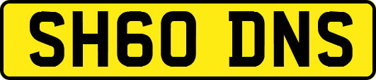 SH60DNS