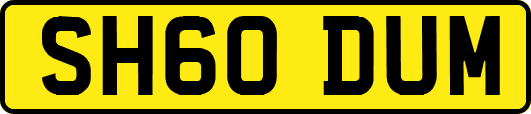 SH60DUM