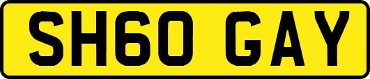 SH60GAY