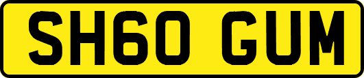 SH60GUM