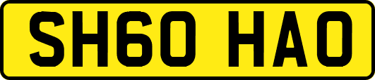SH60HAO