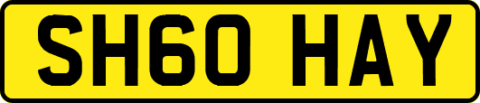 SH60HAY