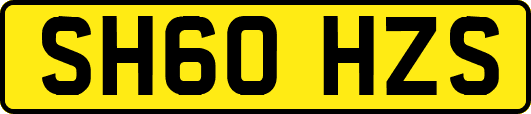 SH60HZS