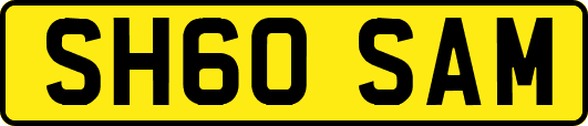 SH60SAM
