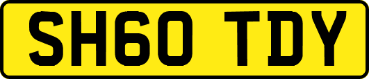 SH60TDY