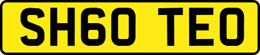 SH60TEO