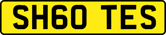 SH60TES