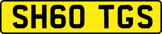 SH60TGS