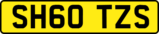 SH60TZS