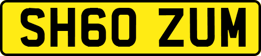 SH60ZUM