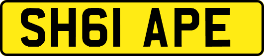 SH61APE