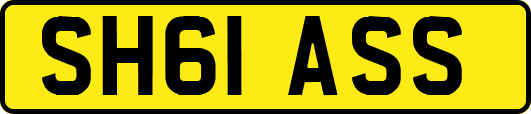SH61ASS