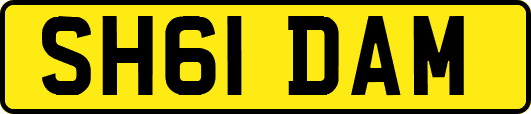 SH61DAM