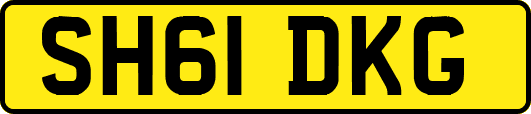 SH61DKG