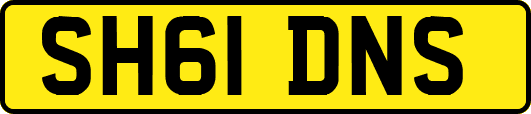 SH61DNS