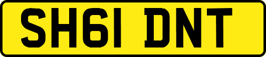SH61DNT