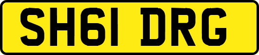 SH61DRG