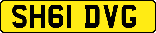 SH61DVG