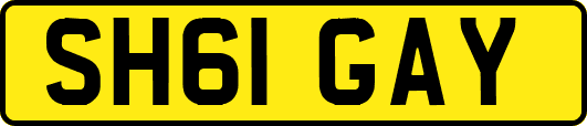 SH61GAY