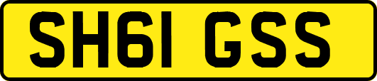 SH61GSS