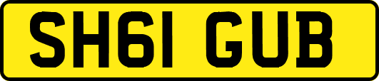 SH61GUB