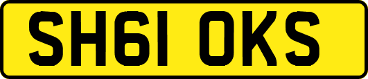 SH61OKS