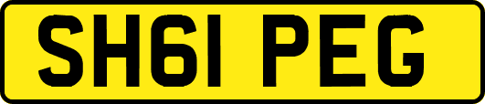 SH61PEG