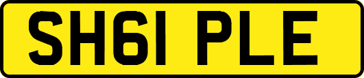 SH61PLE