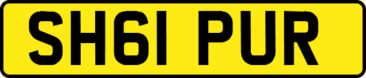 SH61PUR