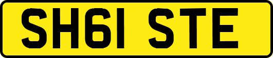 SH61STE