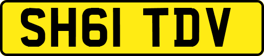 SH61TDV
