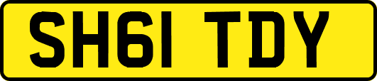 SH61TDY