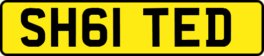 SH61TED