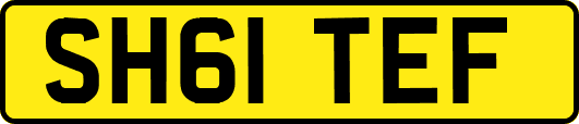 SH61TEF