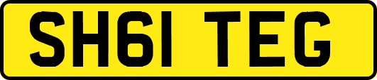 SH61TEG