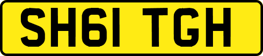 SH61TGH