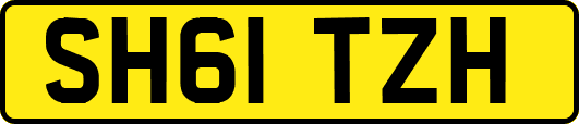 SH61TZH