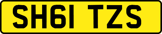 SH61TZS