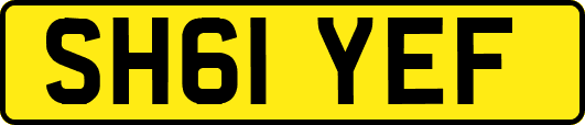 SH61YEF