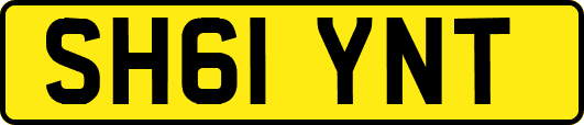 SH61YNT