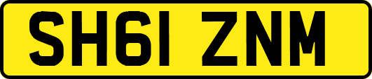SH61ZNM