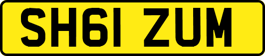 SH61ZUM