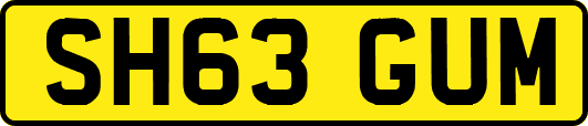 SH63GUM