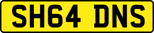 SH64DNS
